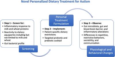 Novel Personalized Dietary Treatment for Autism Based on the Gut-Immune-Endocrine-Brain Axis